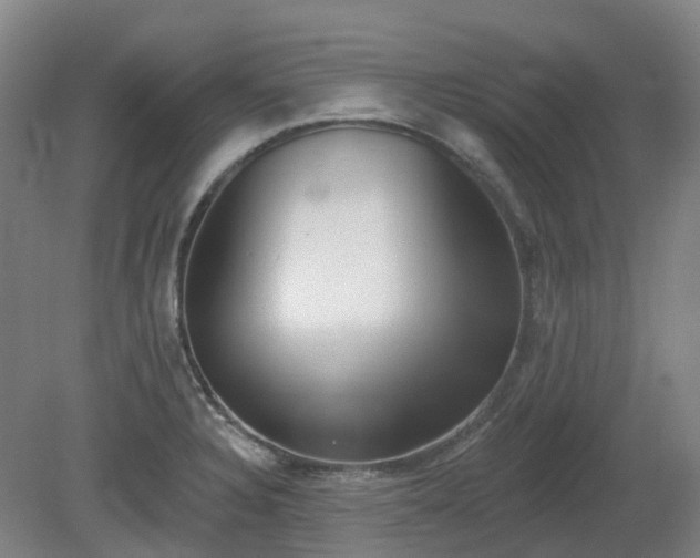 X0000081281328200701181733