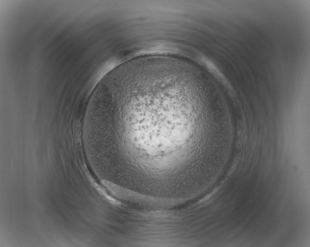 X0000081281329200701181733