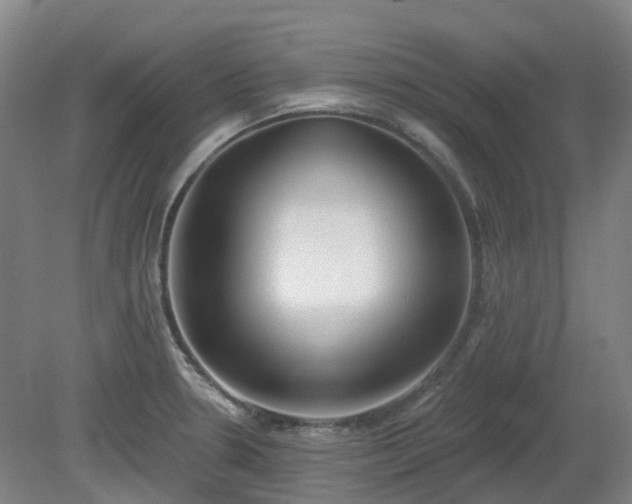 X0000081281330200701181733