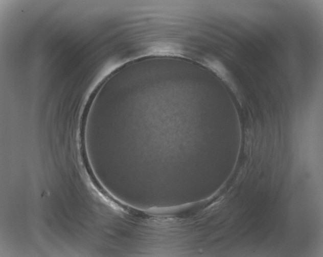 X0000081281331200701181733