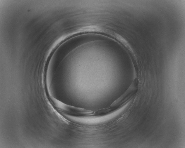 X0000081281334200701181733