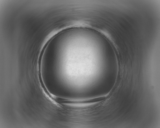 X0000081281335200701181733