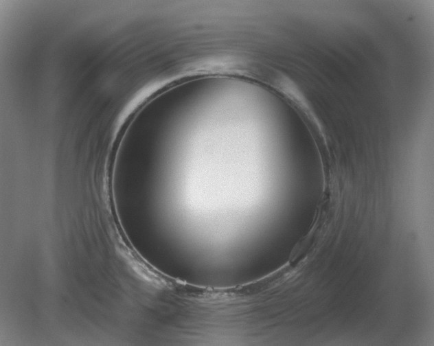 X0000081281336200701181733