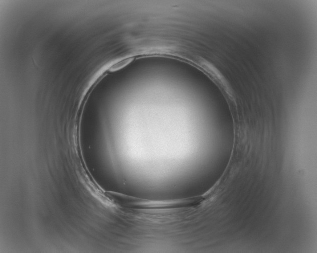 X0000081281340200701181733
