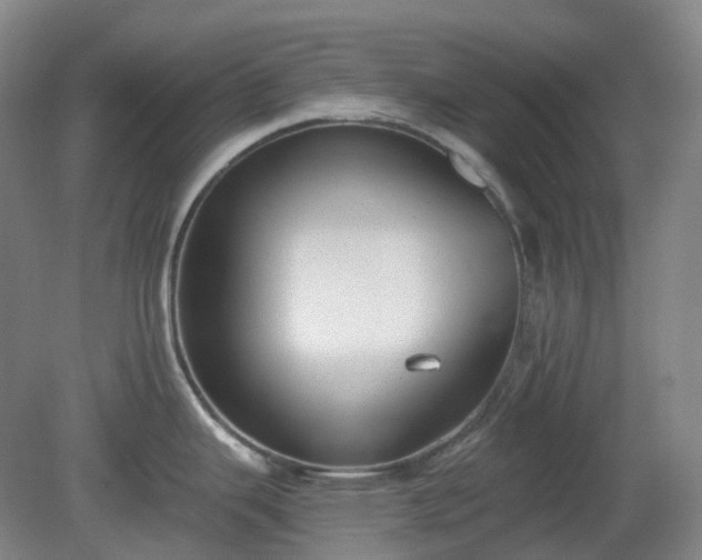 X0000081281343200701181733