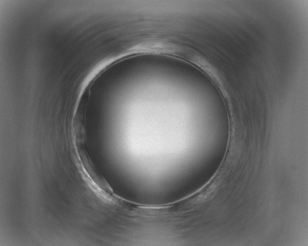 X0000081281344200701181733