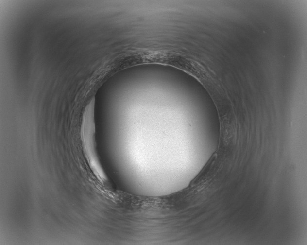 X0000081281345200701181732