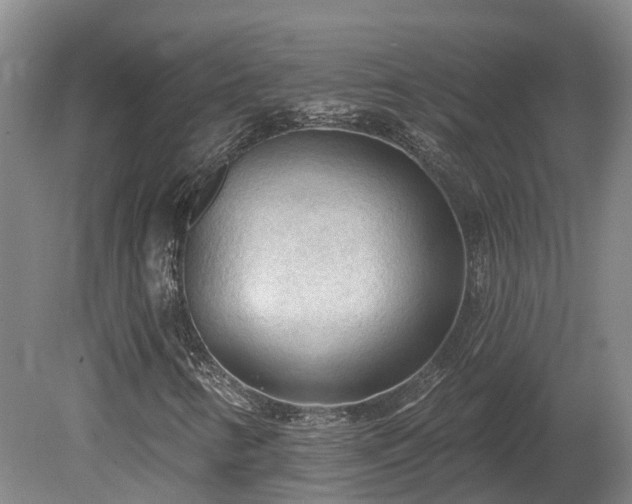 X0000081281346200701181732