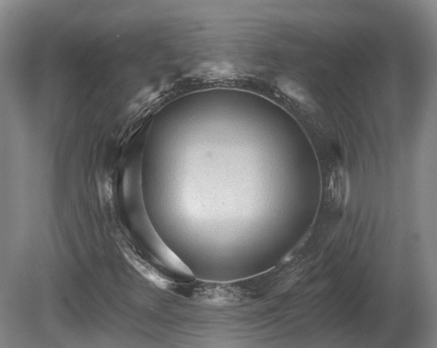 X0000081281348200701181732