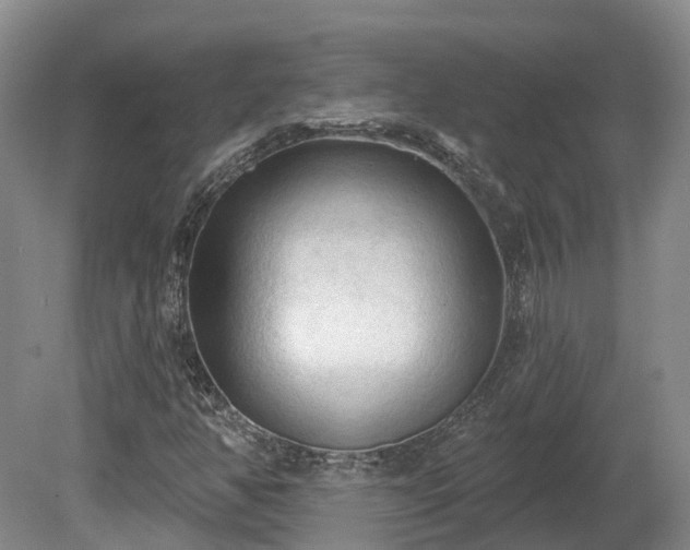 X0000081281350200701181732