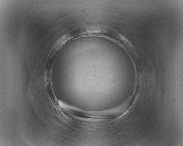 X0000081281353200701181732