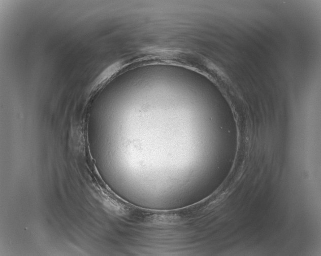 X0000081281354200701181732