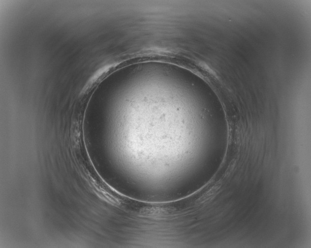 X0000081281355200701181732
