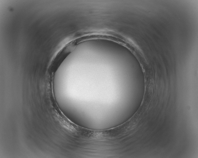 X0000081281360200701181732