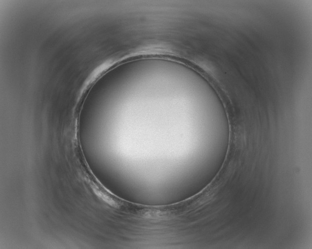 X0000081281366200701181732