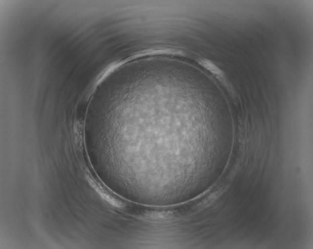 X0000081281369200701181732
