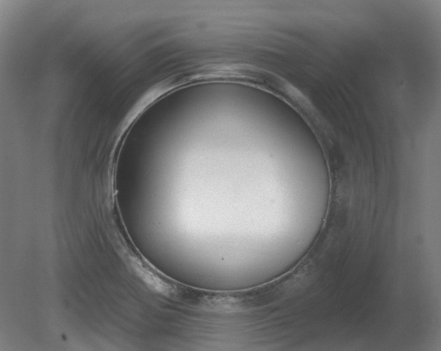 X0000081281370200701181732