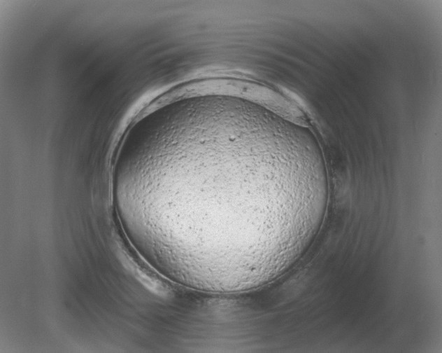 X0000081281371200701181732