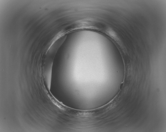 X0000081281377200701181732