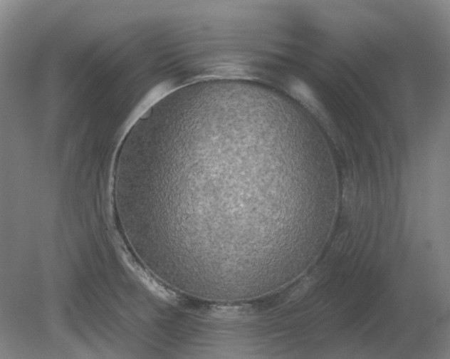 X0000081281378200701181732