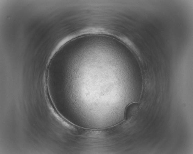 X0000081281382200701181732