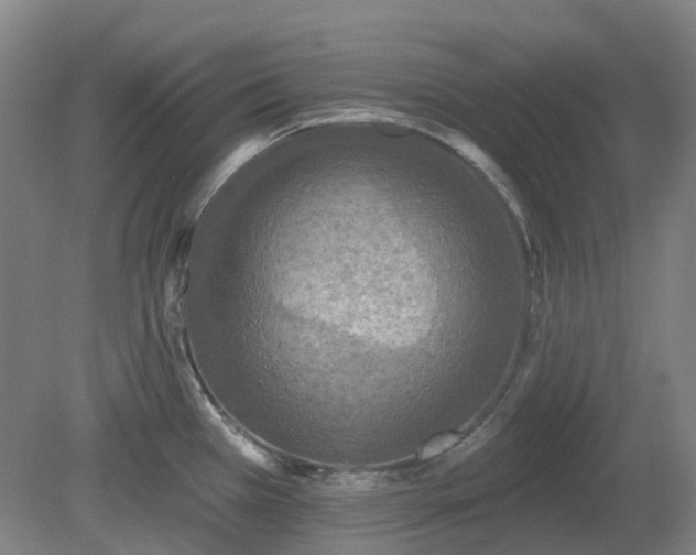 X0000081281385200701181731