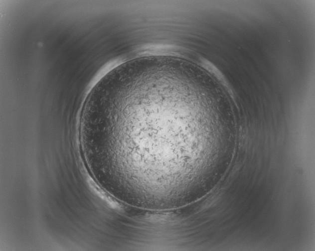 X0000081281386200701181731