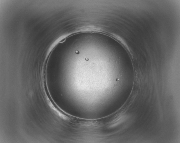 X0000081281387200701181731