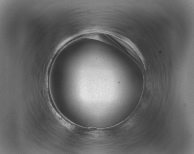 X0000081281388200701181731