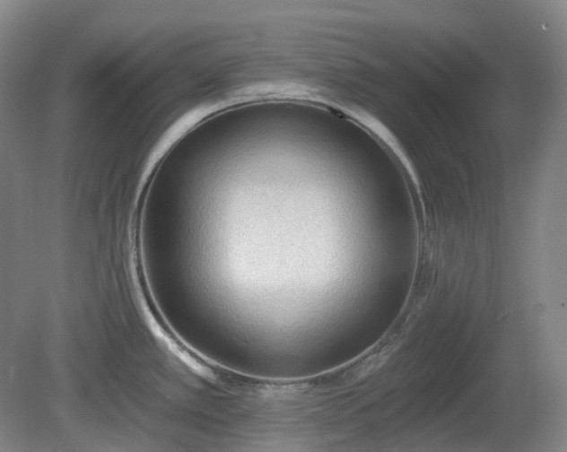 X0000081281389200701181731