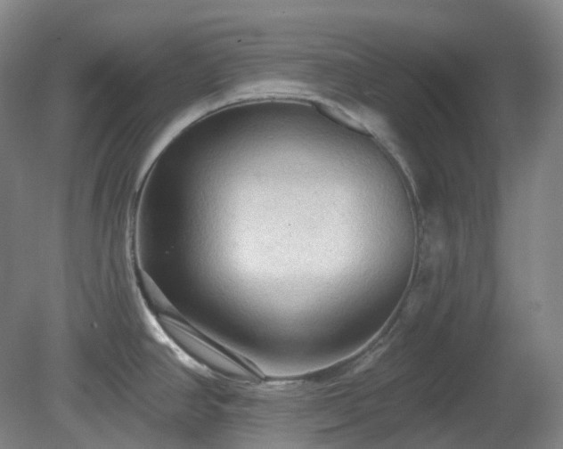 X0000081281390200701181731