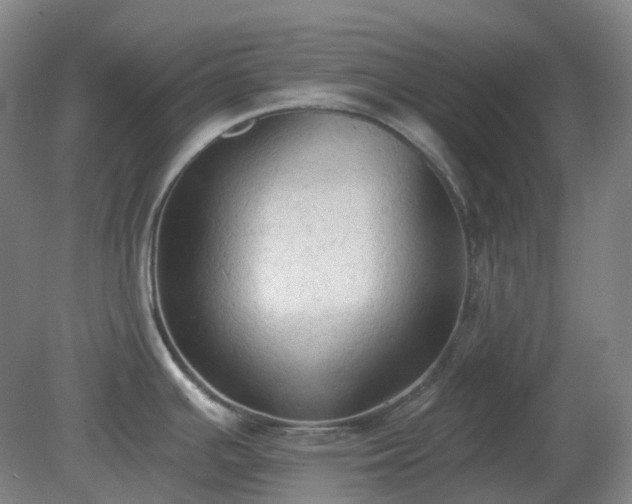 X0000081281391200701181731
