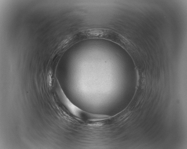 X0000081281394200701181731
