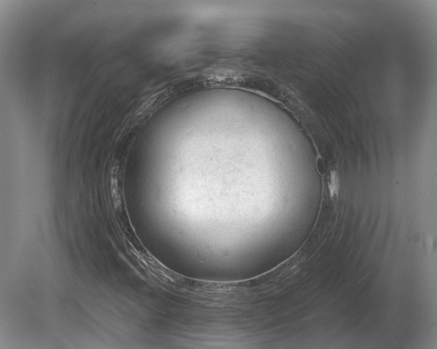 X0000081281396200701181731