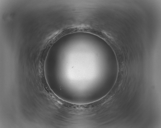 X0000081281398200701181731