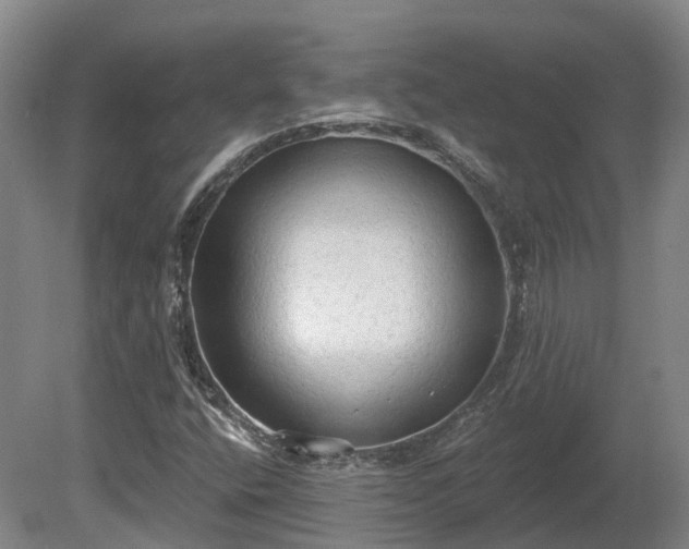 X0000081281400200701181731