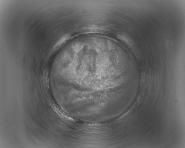 X0000081281403200701181731
