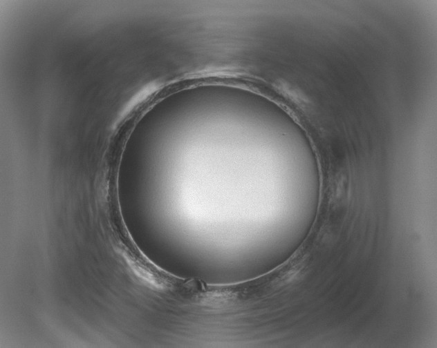 X0000081281406200701181731