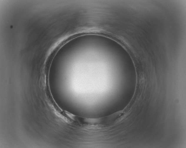 X0000081281414200701181731