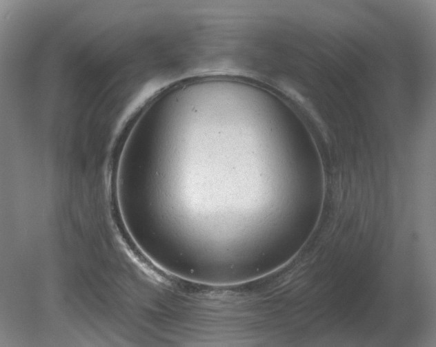X0000081281416200701181731