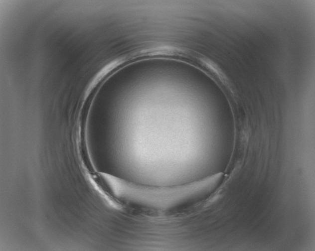 X0000081281418200701181731