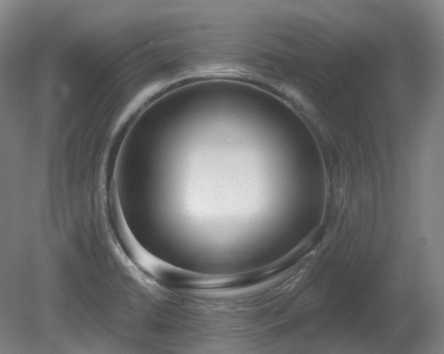 X0000081281422200701181731