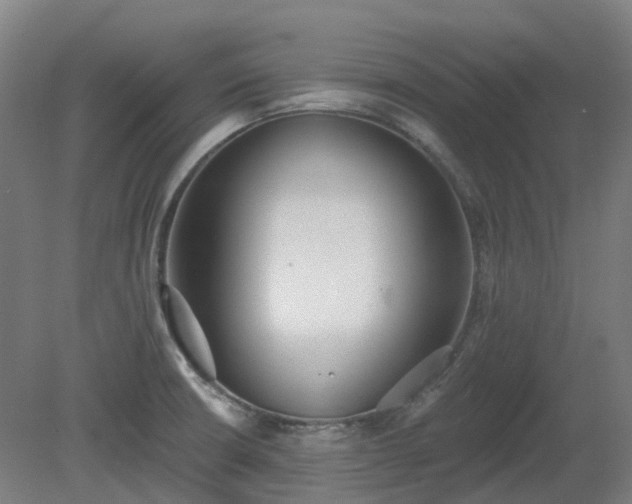 X0000081281426200701181731