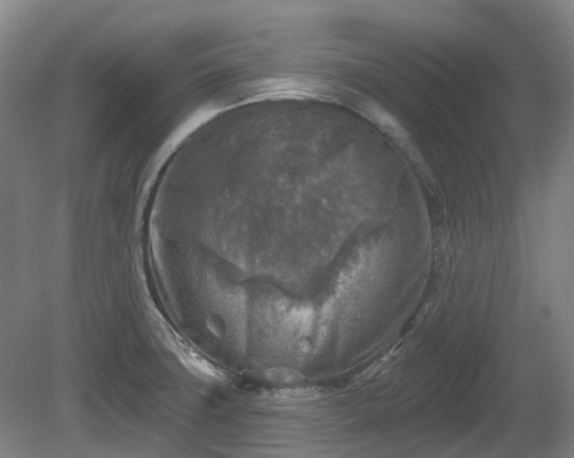X0000081281427200701181731