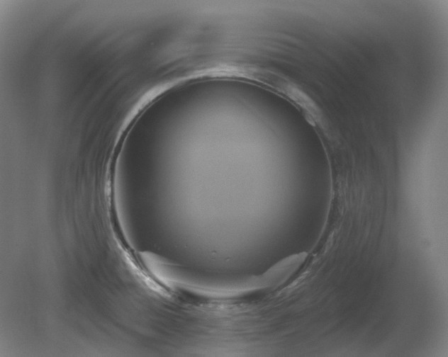 X0000081281428200701181731