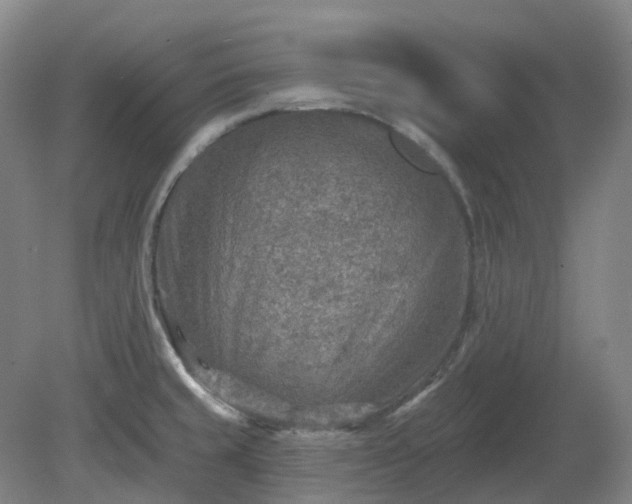 X0000081281429200701181731