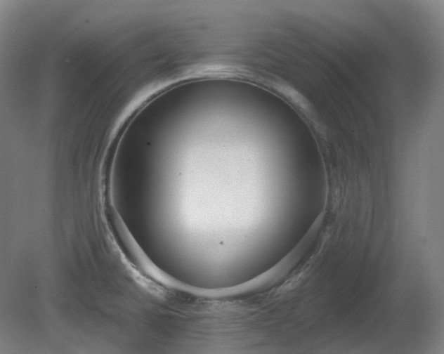X0000081281430200701181731
