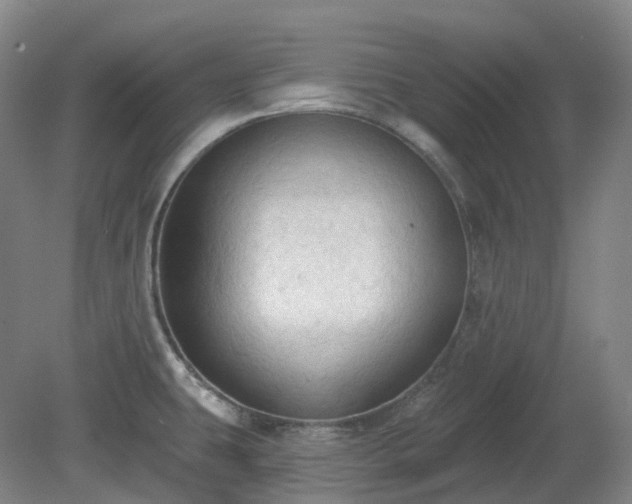 X0000081281431200701181731