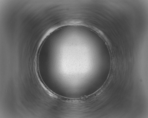 X0000081281432200701181731