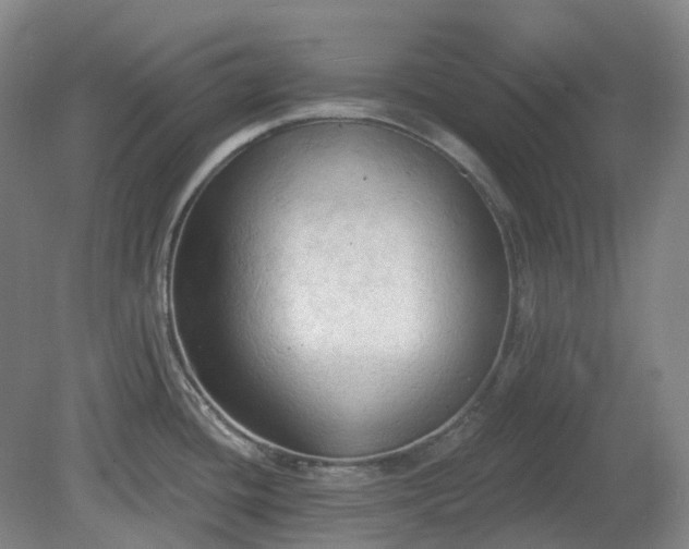 X0000081281436200701181731